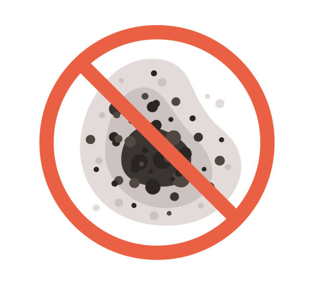 Best Comprehensive Air Testing for Mold Contaminants  in Columbia, CA