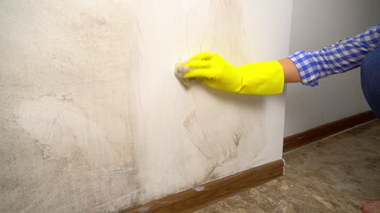 Best Commercial Mold Inspection  in Columbia, CA