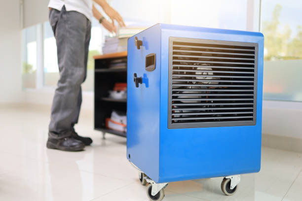 Best Emergency Mold Remediation  in Columbia, CA