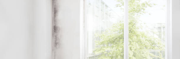 Best Residential Mold Inspection & Testing  in Columbia, CA