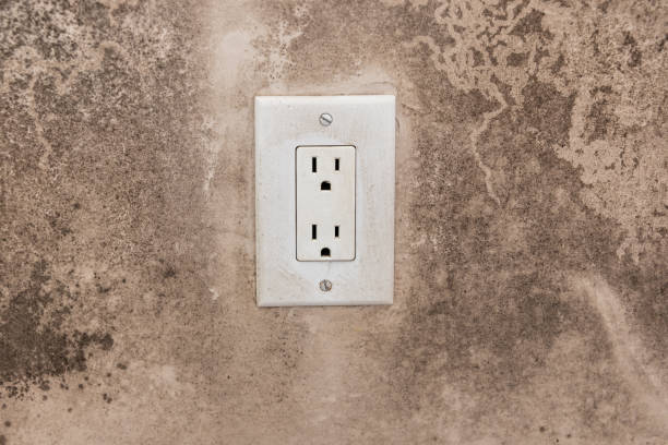 Best Air Quality Testing for Mold Spores  in Columbia, CA